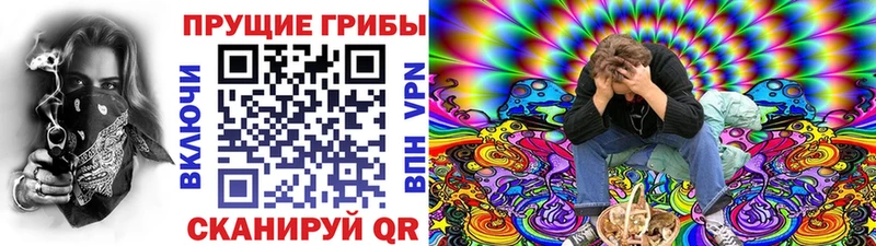 ссылка на мегу как войти Лодейное Поле Псилоцибиновые грибы ЛСД наркошоп